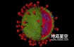 3D模型-病毒核切片内核结构模型