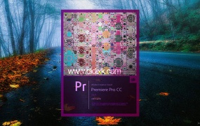 Adobe PremierePro CC2014简体中文版 PR CC2014
