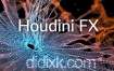 Houdini 16.0.504.20软件Win+Mac+Linux免费下载（内附注册教程）