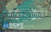 AE模板10种花卉设计线条元素婚纱微电影相册视频标题动画