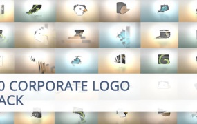 AE模板30种企业公司标志动画logo演绎百叶窗转换片头包装