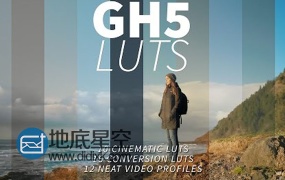 预设:66种松下GH5摄像机专用LUTs调色预设 Panasonic Lumix GH5 LUTs