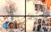 AE模板树枝悬挂唯美婚礼家庭照片展示美好回忆相册视频动画