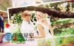 AE模板浪漫情人节婚礼相册时尚家庭照片组合动画