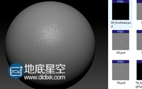 材质贴图:175组皮肤细节雕刻纹理贴图合辑