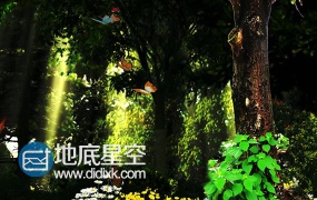 浪漫森林小木屋童话恋曲高清婚礼舞台背景视频素材