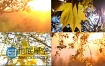 高清实拍大自然秋天阳光植物风景视频