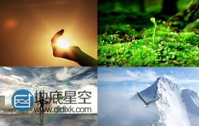 企业文化精神梦想宣传植物生长视频素材