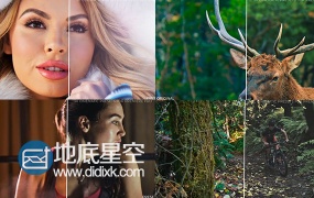 Pr预设:30种电影调色预设30+Cinematic+Color+Presets