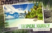 AE模板棕榈树热带旅游度假旅游胜地相册动画地底星空