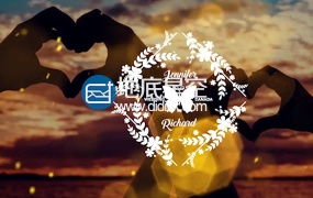 AE模板100种婚礼视频徽章标题排版设计动画