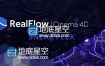 C4D 插件：RealFlow  NextLimit RealFlow Cinema 4D v2.5.2.0075