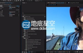 AE/PR插件 自定义模糊插件 RevisionFX SmoothKit 3.3.5