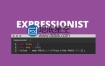 AE脚本：表达式编辑错误检查脚本 Aescripts Expressionist v1.5