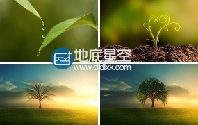 视频素材:具有深刻意义的水滴大树成长过程素材