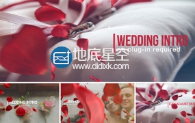 AE模板唯美爱情浪漫情人节玫瑰花瓣婚礼相册
