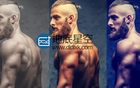 LUTs调色预设:205种动作电影大片美容润肤梦幻复古 Vivid PRO LUTs
