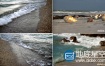 视频素材：高清实拍海螺贝壳海水浪花