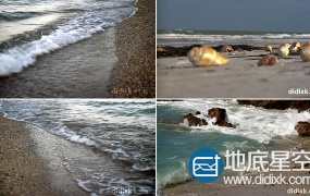 视频素材:高清实拍海螺贝壳海水浪花