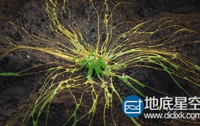 C4D教程:XP粒子模拟外星液体流动