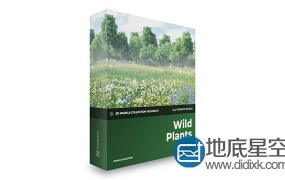 51组超精细野生花草植被3D模型合集