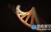 视频素材：炫酷DNA组织运动效果展示效果