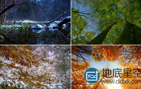 视频素材:季节交替四季变换素材
