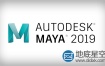 Autodesk Maya 2019 Win/Mac/Linux 注册机破解版