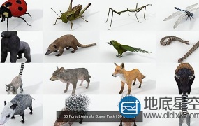 3D模型:30个森林动物模型 CGTrader – 30 Forest Animals Super Pack 3D Model Collection