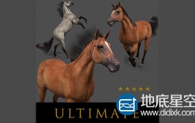 3D模型:马匹模型 CGTrader – Ultimate Horse Collection – 3d model
