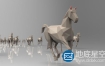 3D模型：低多边形马模型 CGTrader – Low poly running horses – 23pcs posed Low-poly 3D model