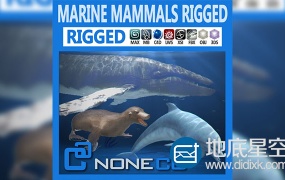 3D模型:海豚海豹鲸鱼模型 CGTrader – Pack – Marine Mammals 3D model