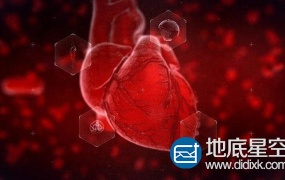 AE模板:人类心脏跳动生物学细胞染色医疗Heart Reveal
