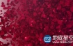 AE模板-红色的玫瑰花瓣标志logo演绎片头动画 Petals Logo Reveal III