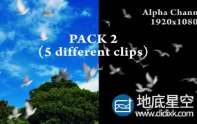视频素材:鸽子飞翔通道 Flying Doves Pack Vol.2