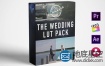 LUTs预设：13组婚礼视频调色+10组光斑耀斑视频素材
