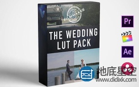 LUTs预设:13组婚礼视频调色+10组光斑耀斑视频素材