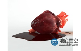 3D模型:人体心脏模型 3DOcean – Brave Heart – 3D model of human heart