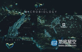 AE模板-分析细菌生物学医生健康感染医疗微生物显微镜医学项目