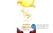 AE模板-竖屏金色中秋节日促销动画