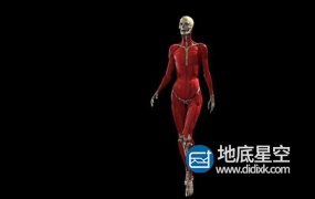Maya插件:医学人体肌肉骨骼模拟插件 Ziva Dynamics Ziva VFX v1.7