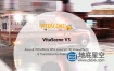 Ae/Pr/Vegas/Edius/Avid视频特效+转场插件包 proDAD VitaScene 3.0.262 Win破解版