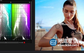 Ae/Pr/达芬奇/Ps调色及监视预览插件套件 Timeinpixels v2020.2-Nobe Display/False Color/Nobe Color Remap Win破解版