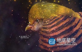 AE模板-光芒穿梭星空星系Form粒子飞散汇聚图像文字排版片头 Space Slideshow