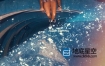 AE模板-水飞溅泼洒夏季海滩游泳旅游照片幻灯片动画