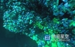 AE模板-3D深海水族馆蓝色珊瑚海洋岩石logo标志展示动画