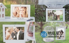 AE模板-春天开花唯美浪漫的生日婚礼相册爱情幻灯片树枝悬挂照片