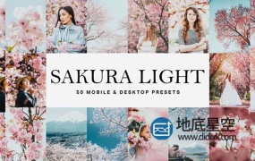 LUTS预设+LR预设-50个粉色的樱花效果