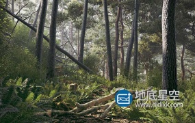 3D模型-56个森林中树枝树干树墩 石头C4D模型合集
