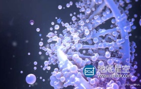 3D模型-Stardust星辰粒子插件的3D模型预设库 AE Stardust 3D Library Win